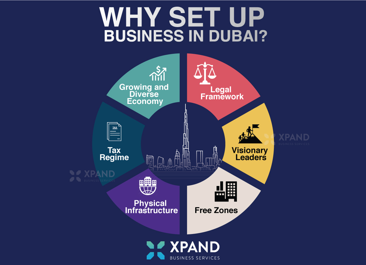 Dubai Company Expert Services